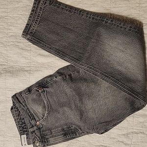 Zara Denim Jean size 26